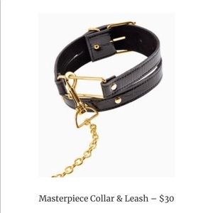 Masterpiece collar and leash set